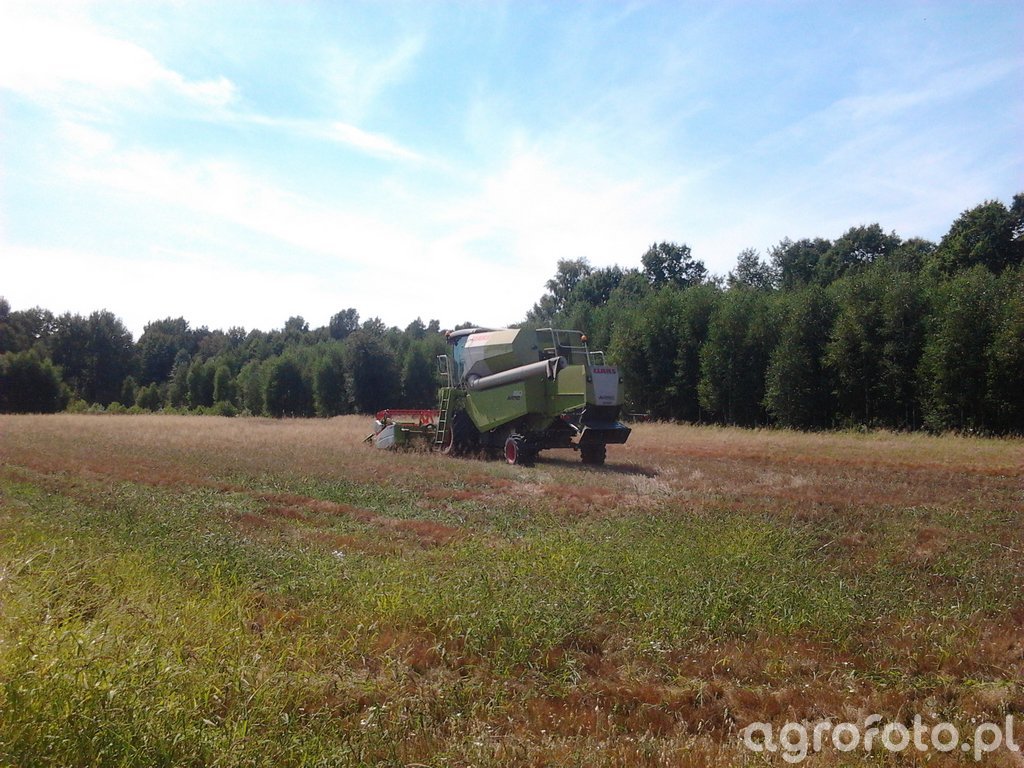 Kombajn Claas Avero 160 - fotka #447155 - Galeria rolnicza agrofoto