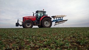 Massey Ferguson 7495