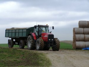 Massey Ferguson 8140 & Przyczepa Langendorf