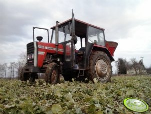 Massey Ferguson 255 + Amazone ZA-E 402 .