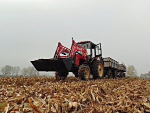 MTZ 82 TS