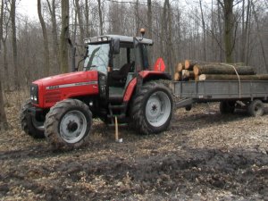 Massey Ferguson 6260