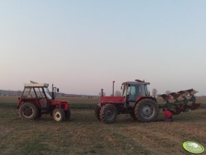 Massey Ferguson 3080 + Pług Rover 