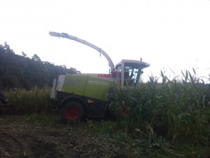 Claas Jaguar 900