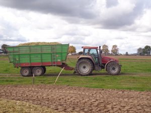 Case IH cs 130 + Fortschritt t-088