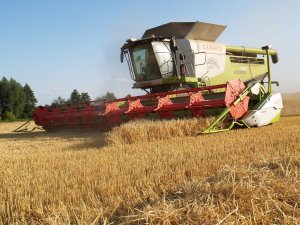 Claas Lexion 780 TT