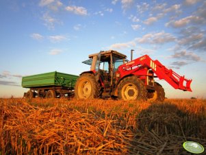 Massey Ferguson 3085