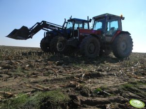 Massey Ferguson 3080 & New Holland TM 135