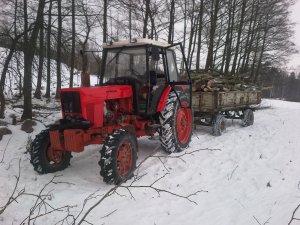MTZ 82