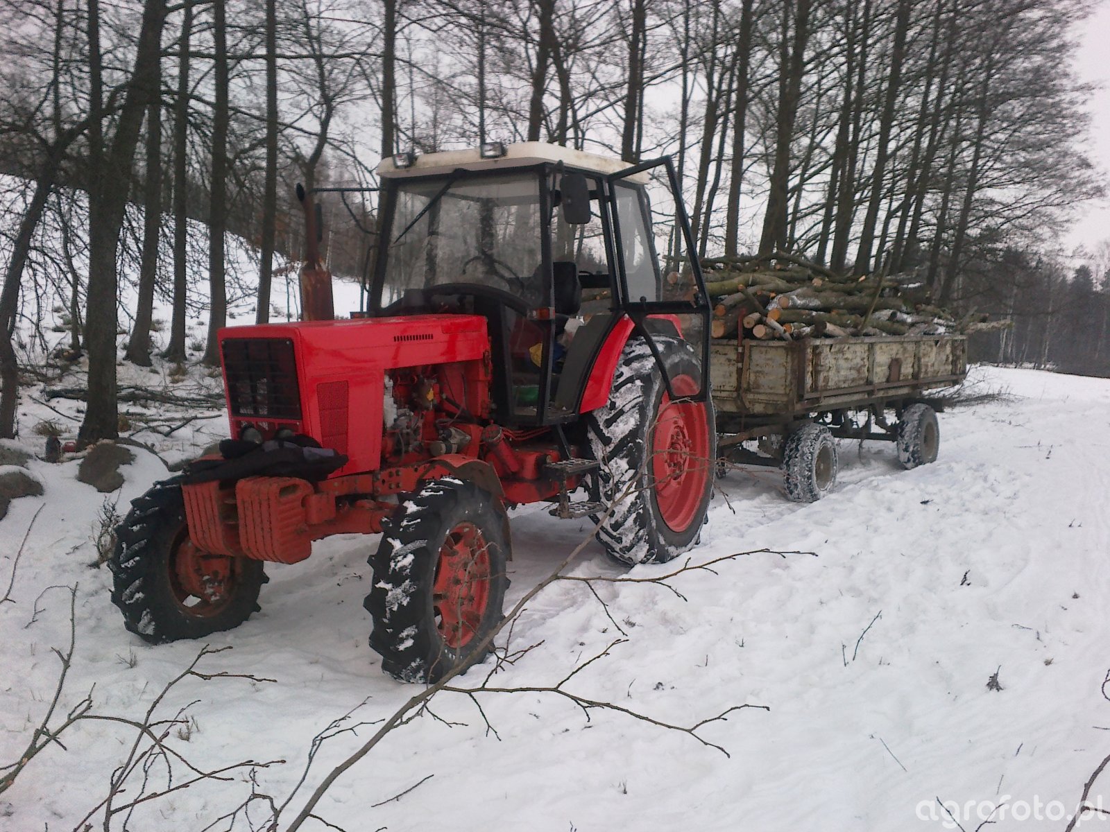 Foto ciagnik MTZ 82 id:545841 - Galeria rolnicza agrofoto