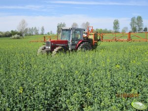 Massey Ferguson 3085