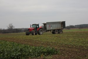 Massey Ferguson 7485 i Fiegl