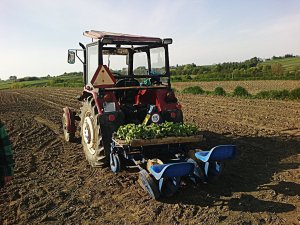 Ursus C-330M + Agro-Max S-237