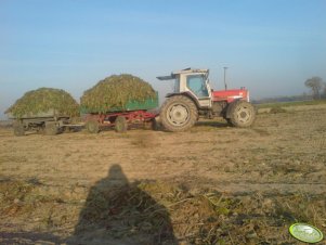 Massey Ferguson 3080