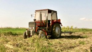 Massey Ferguson 255 + Brony 5