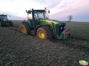 JD 8230