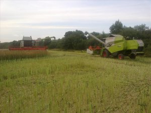 Claas Lexion 650 i Claas Tucano 320