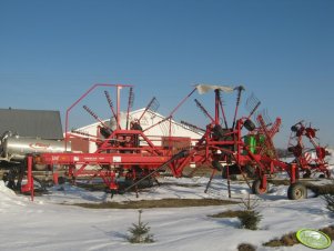 LELY Hibiscus