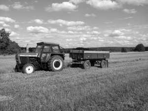 Zetor 8011 + przyczepa