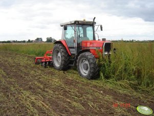 Massey Ferguson 3085 + Shark