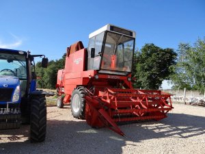 Bizon 5043