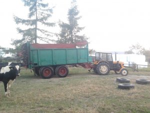 Ursus C-330M & fortschritt