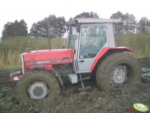 Massey Ferguson 3095