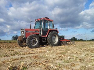 Massey Ferguson 294S + Brona talerzowa Akpil