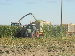 Claas Jaguar 850 & Fendt 724 + Veenhuis & Fendt 818 + Veenhuis