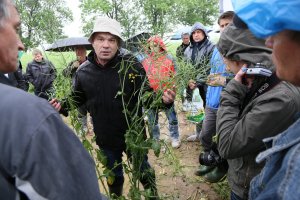 Agrosimex - spotkanie poświęcone uprawie rzepaku