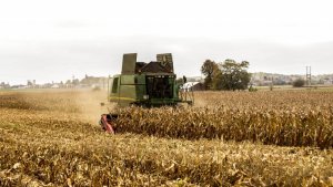 John Deere STS 9880i + Gerighoff Rota Disc 12 rzędów