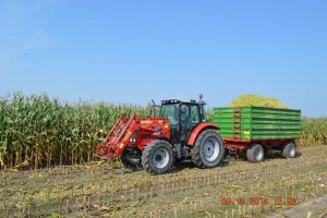Massey Ferguson 5435 & Pronar T670