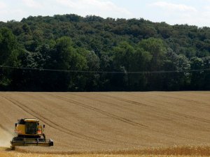 New Holland TC5070