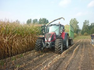 Claas Jaguar & Valtra