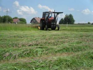 Ursus 3512