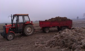 Ursus 2812