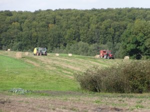 Sipma Z 599 +FENDT & New Holland +CASE 1694