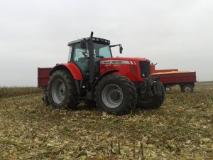 Massey Ferguson 6490