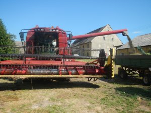 Case IH CF80