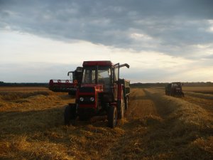 Zetor 8111 & Claas Lexion 650 & Ursus C-4011