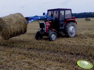 Massey Ferguson 255