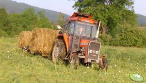 Massey Ferguson 255