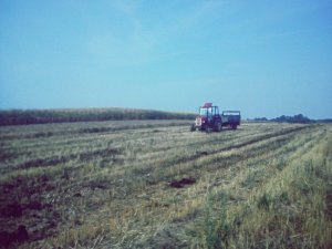 Ursus C-360 + Czarna Białostocka