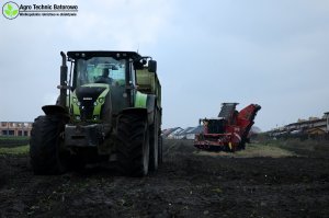 Claas Axion 850 + Grimme Maxtron 620