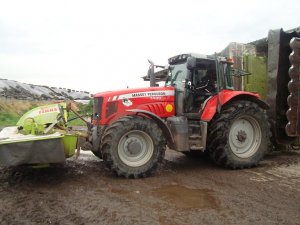 MF 7499 + Claas