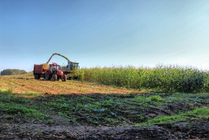 Claas Jaguar 840