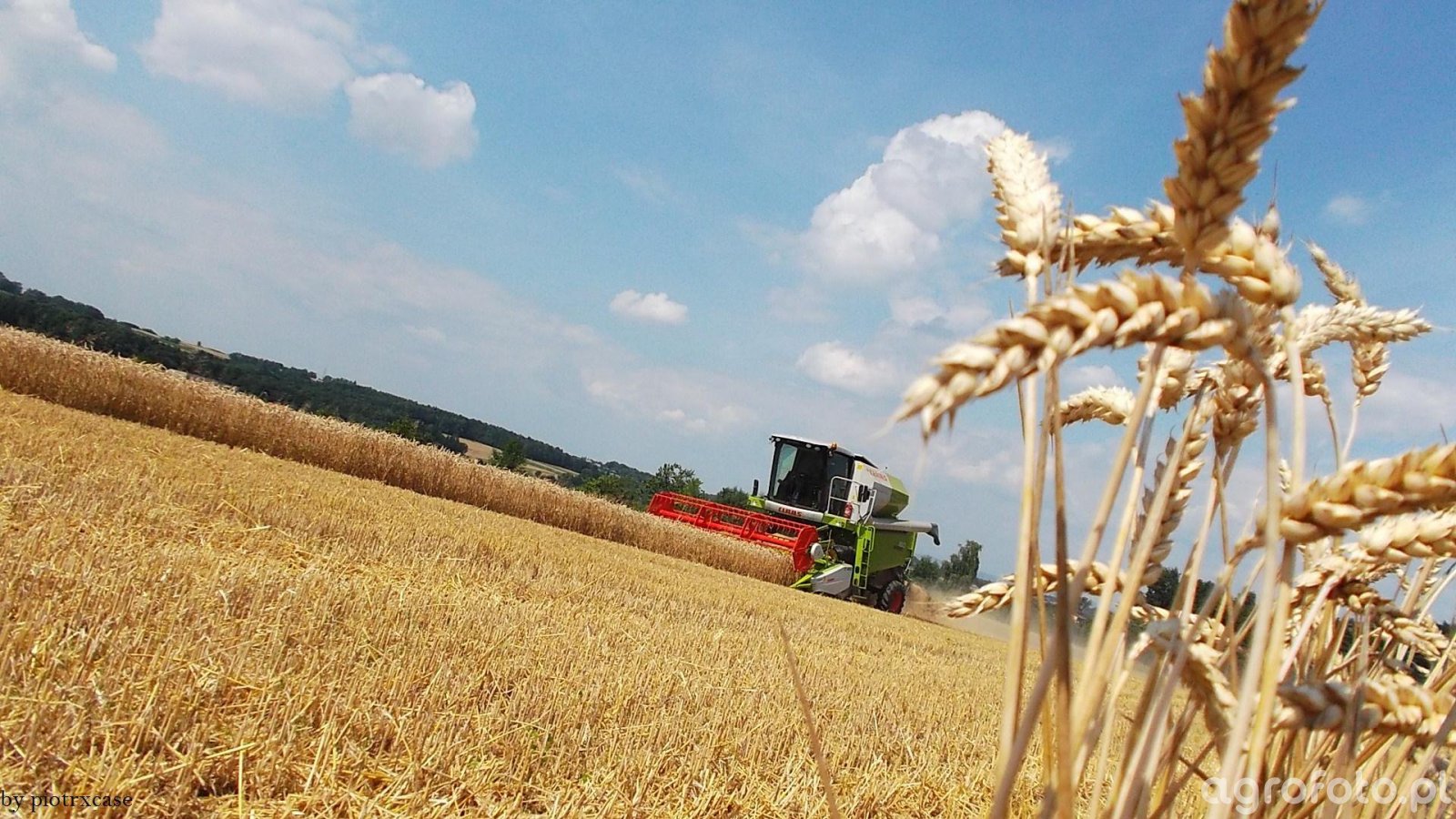 Kombajn Claas Avero 160 - foto #448422 - Galeria rolnicza agrofoto