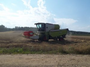 Claas Avero 240