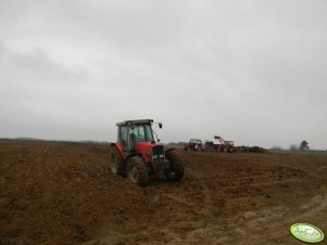 Massey Ferguson 3080 & Stal Tech U 006