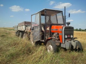 Massey Ferguson 255 + przyczepy